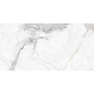 Polished 600 X 1200mm Tile