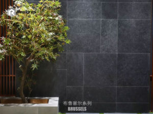 2cm Thickness Outdoor Porcelain Tile