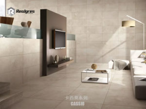 Beige Matt 20mm Outdoor Porcelain Tile 60x60